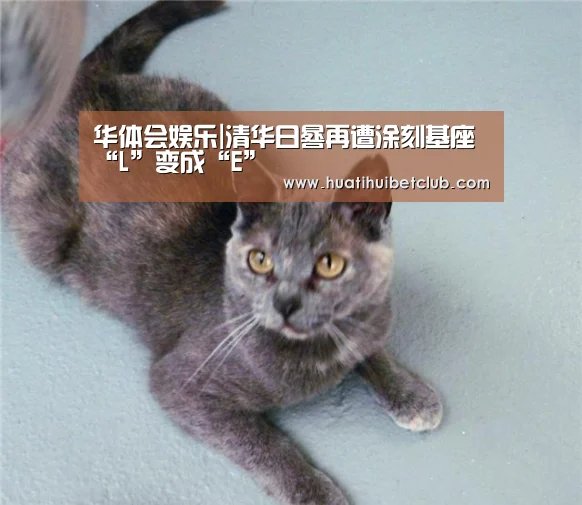 华体会直播