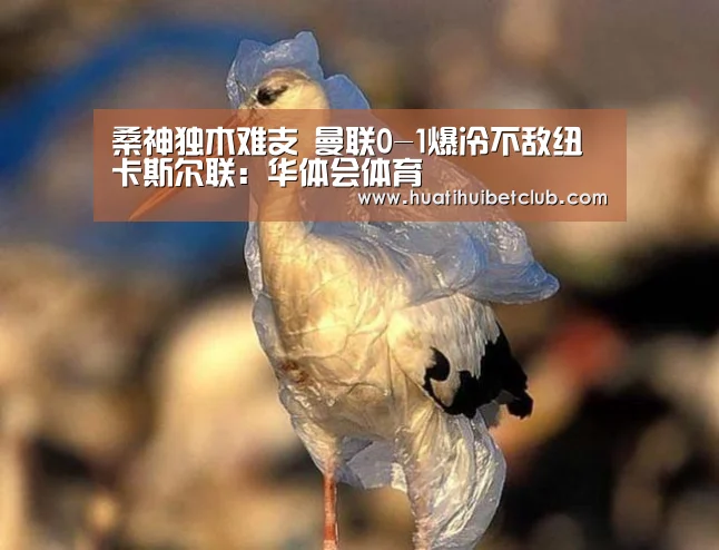 华体会直播