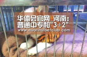 华体会娱乐