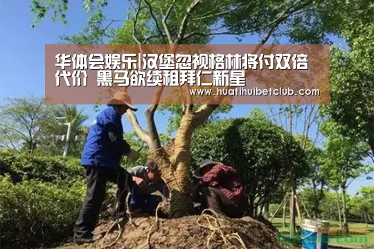 华体会娱乐|汉堡忽视格林将付双倍代价 黑马欲续租拜仁新星(图2) 华体会体育