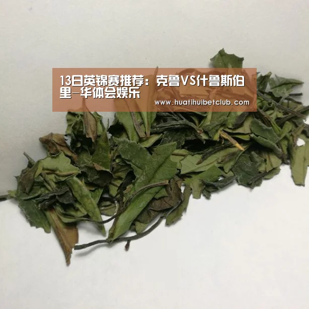 华体会直播