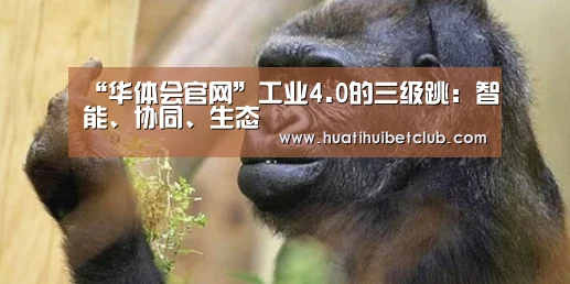 “华体会官网”工业4.0的三级跳:智能、协同、生态(图3) 华体会体育