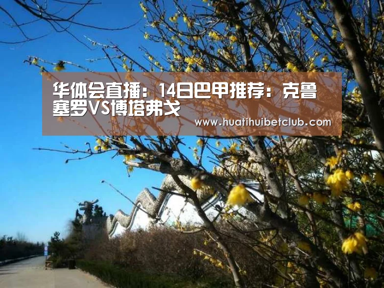 华体会娱乐
