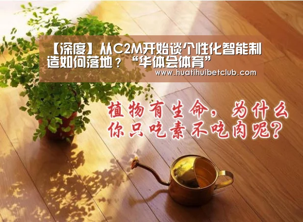华体会体育