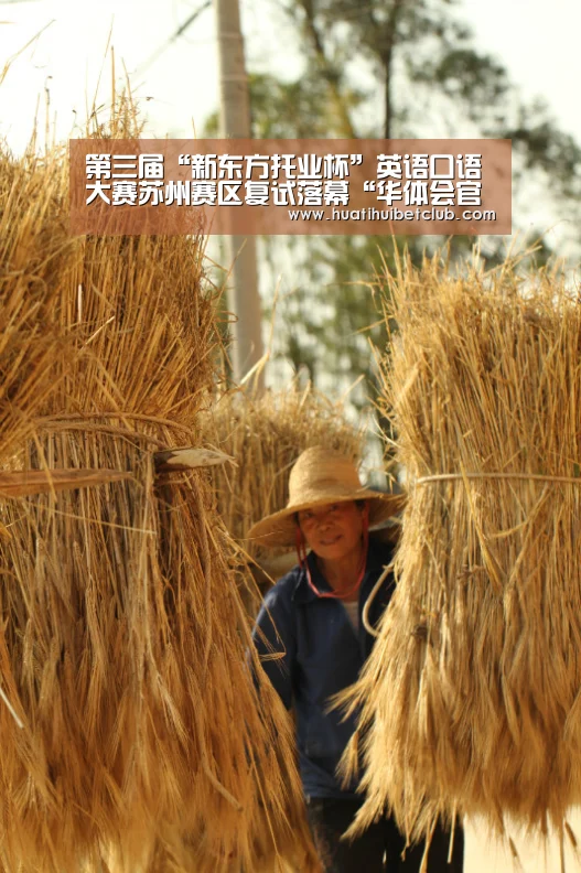 华体会官网